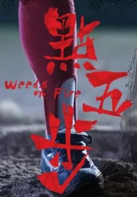 Weeds on Fire (2016) รวมใจสู้เพื่อฝัน ดูหนังออนไลน์ HD
