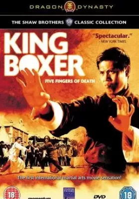King Boxer (Tian xia di yi quan) (1972) ไอ้หนุ่มหมัดพิศดาร ดูหนังออนไลน์ HD
