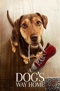 A Dog’s Way Home (2019) เพื่อนรักผจญภัยสี่ร้อยไมล์ ดูหนังออนไลน์ HD