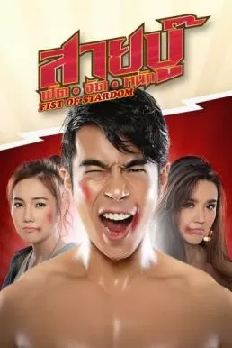 สายบู๊ ฟัด จัด หนัก (2019) Fist of Stardom ดูหนังออนไลน์ HD