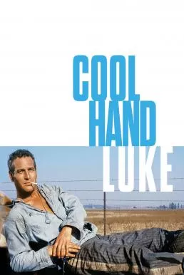 Cool Hand Luke (1967) คนสู้คน ดูหนังออนไลน์ HD