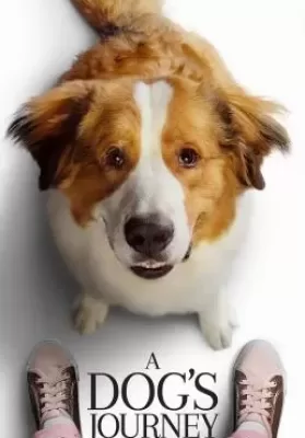 A Dog’s Journey (2019) หมา เป้าหมาย และเด็กชายของผม 2 ดูหนังออนไลน์ HD