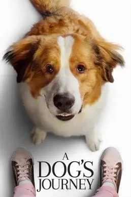 A Dog’s Journey (2019) หมา เป้าหมาย และเด็กชายของผม 2 ดูหนังออนไลน์ HD