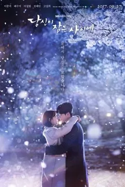 While You Were Sleeping (2017) ลิขิตฝันฉันและเธอ ดูหนังออนไลน์ HD