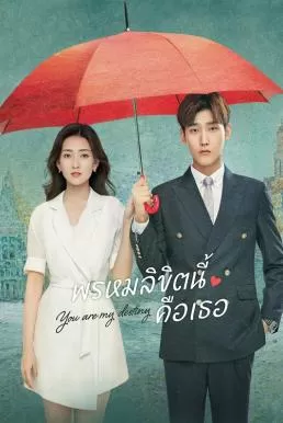 You Are My Destiny (2020) พรหมลิขิตนี้คือเธอ ดูหนังออนไลน์ HD