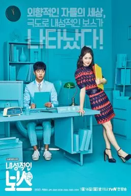 Introverted Boss (2017) เขินนักรักซะเลย ดูหนังออนไลน์ HD