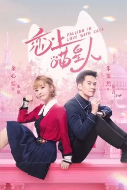 Falling in Love With Cats (2020) ตกหลุมรักสาวแมวเหมียว ดูหนังออนไลน์ HD