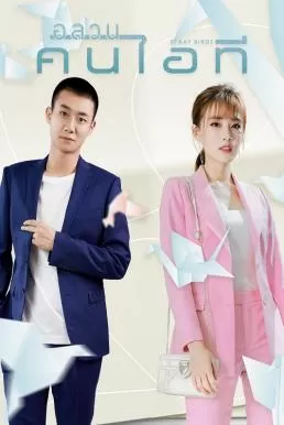 Stray Birds (2021) อลวนคนไอที ดูหนังออนไลน์ HD