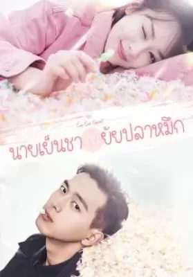 Go Go Squid (2019) นายเย็นชากับยัยปลาหมึก ดูหนังออนไลน์ HD