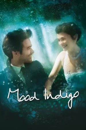 Mood Indigo (2013) รักนี้มหัศจรรย์ ดูหนังออนไลน์ HD