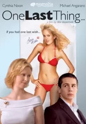One Last Thing (2005) ขอแซ่บแสบครั้งสุดท้าย ดูหนังออนไลน์ HD
