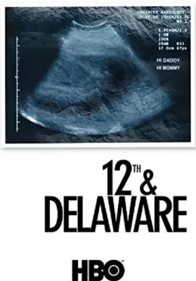 12th and Delaware (2010) ทเวล์ฟ แอนด์ เดลาแวร์ ดูหนังออนไลน์ HD
