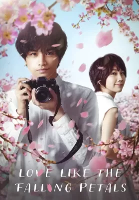 Love Like The Falling Petals (2022) ใบไม้ผลิที่ไม่มีเธอเป็นซากุระ ดูหนังออนไลน์ HD