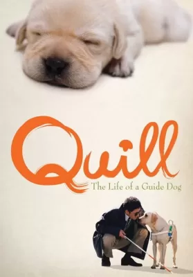 Quill The Life of a Guide Dog (2004) โฮ่งฮับ เจ้าตัวเนี้ยซี้ร้อยเปอร์เซ็นต์ ดูหนังออนไลน์ HD