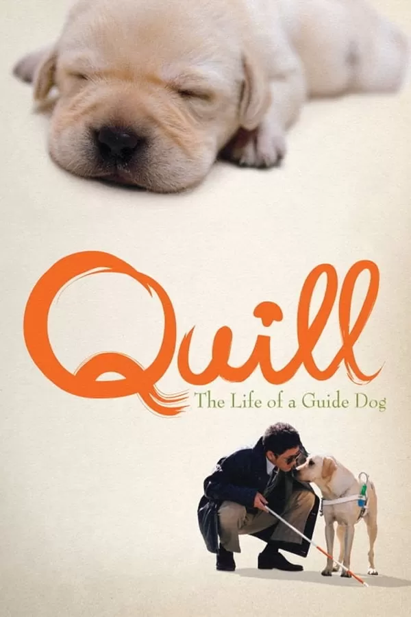 Quill The Life of a Guide Dog (2004) โฮ่งฮับ เจ้าตัวเนี้ยซี้ร้อยเปอร์เซ็นต์ ดูหนังออนไลน์ HD