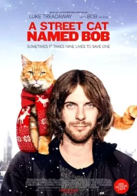 A Street Cat Named Bob (2016) บ๊อบ แมว เพื่อน คน ดูหนังออนไลน์ HD