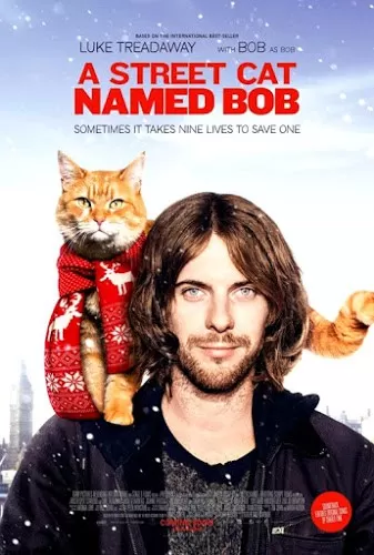 A Street Cat Named Bob (2016) บ๊อบ แมว เพื่อน คน ดูหนังออนไลน์ HD