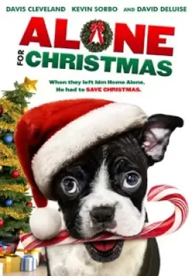 Alone for Christmas (2013) แก๊งน้องหมาโดดเดี่ยวผู้น่ารัก ดูหนังออนไลน์ HD