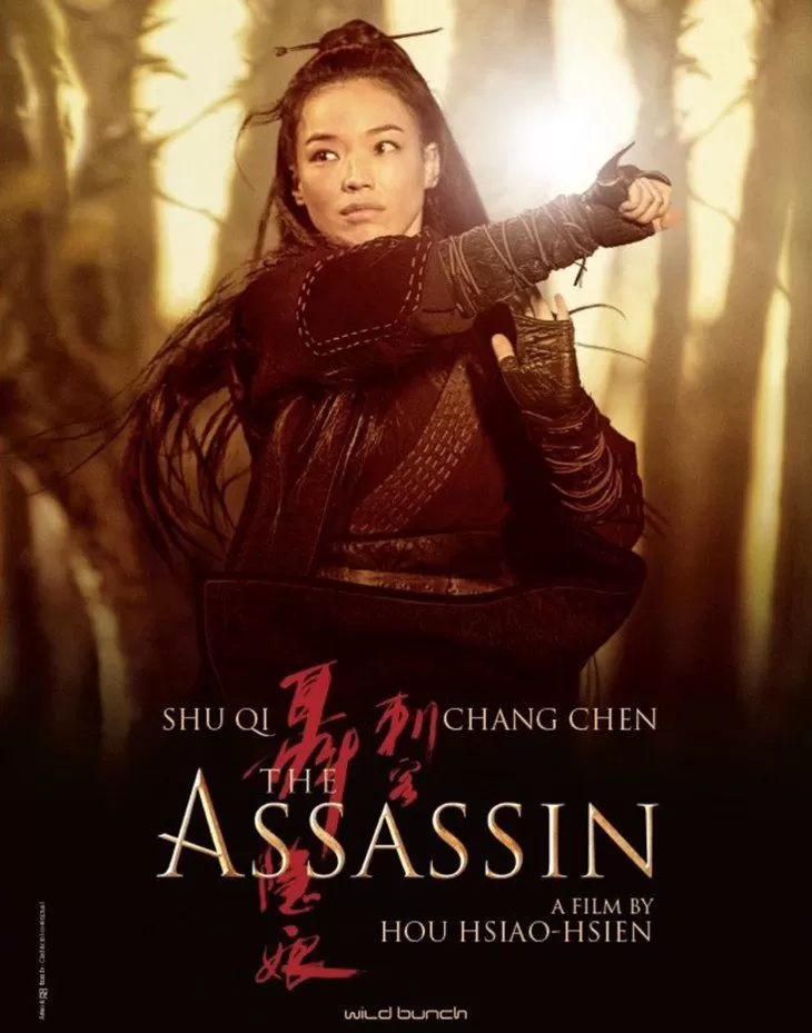The Assassin (2015) ประกาศิตหงส์สังหาร ดูหนังออนไลน์ HD