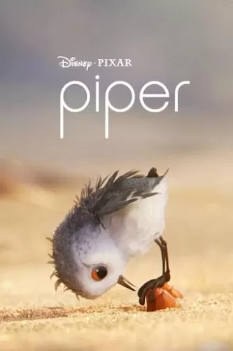 Piper (2016) แอนิเมชั่นสั้น ฉายปะหน้า Finding Dory ดูหนังออนไลน์ HD