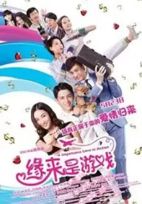 Impetuous Love in Action (2014) ศึกพิชิตใจของนายไฮโซ ดูหนังออนไลน์ HD