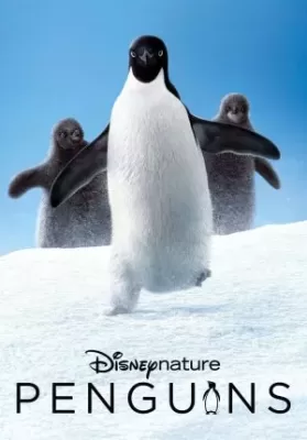 Penguins (2019) เพนกวิน ดูหนังออนไลน์ HD