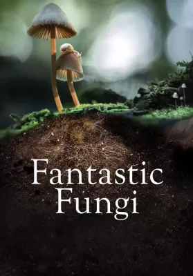 Fantastic Fungi (2019) เห็ดมหัศจรรย์ ดูหนังออนไลน์ HD