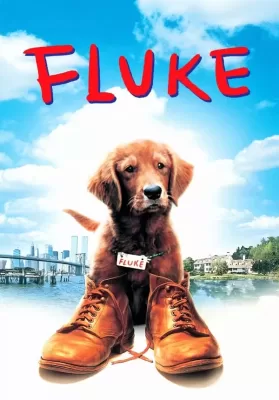 Fluke (1995) เกิดใหม่กลายเป็นหมา ดูหนังออนไลน์ HD