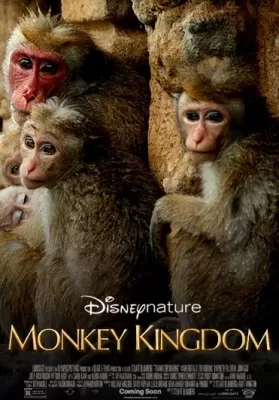 Disneynature Monkey Kingdom (2015) อาณาจักรลิง จากป่าไม้สู่ป่าเมือง (ซับไทย) ดูหนังออนไลน์ HD