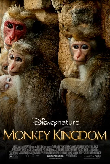 Disneynature Monkey Kingdom (2015) อาณาจักรลิง จากป่าไม้สู่ป่าเมือง (ซับไทย) ดูหนังออนไลน์ HD