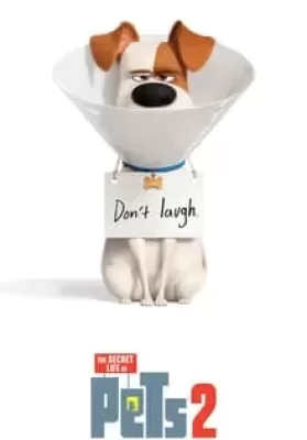 The Secret Life of Pets 2 (2019) เรื่องลับแก๊งขนฟู 2 ดูหนังออนไลน์ HD