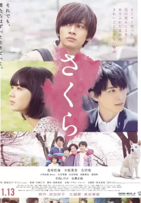 Sakura (2020) ดูหนังออนไลน์ HD
