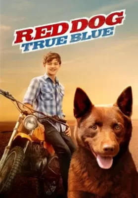 Red Dog: True Blue (2016) เพื่อนซี้หัวใจหยุดโลก 2 ดูหนังออนไลน์ HD
