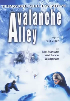 Avalanche Alley (2001) มหันตภัยสุดขอบโลก ดูหนังออนไลน์ HD