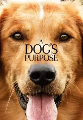 A Dog’s Purpose หมา (2017) เป้าหมาย และเด็กชายของผม ดูหนังออนไลน์ HD