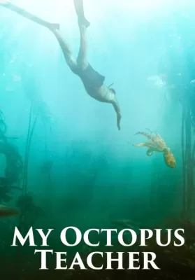My Octopus Teacher | Netflix (2020) บทเรียนจากปลาหมึก ดูหนังออนไลน์ HD