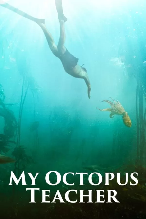 My Octopus Teacher | Netflix (2020) บทเรียนจากปลาหมึก ดูหนังออนไลน์ HD
