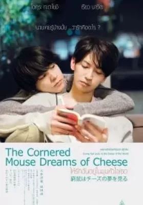 The Cornered Mouse Dreams of Cheese (2020) ให้รักฉันอยู่ในมุมหัวใจเธอ ดูหนังออนไลน์ HD