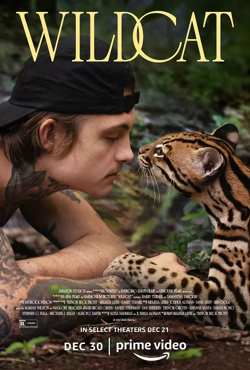Wildcat (2022) ดูหนังออนไลน์ HD