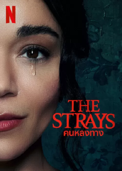 The Strays (2023) คนหลงทาง ดูหนังออนไลน์ HD