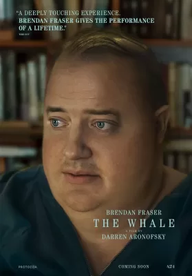 The Whale (2022) เหงา เท่า วาฬ ดูหนังออนไลน์ HD