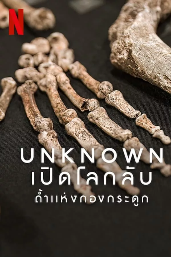 Unknown Cave of Bones (2023) เปิดโลกลับถ้ำแห่งกองกระดูก ดูหนังออนไลน์ HD